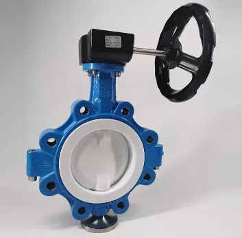 Các ứng dụng cụ thể của cơ thể phân chia hoàn toàn PTFE Van bướm lót là gì?