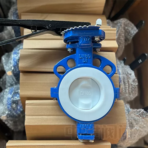 Tách cơ thể hoàn toàn PTFE Van bướm lót