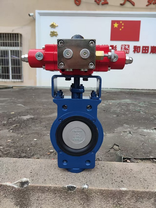 Van bướm lệch tâm WCB Body CF8